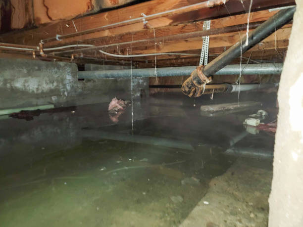 Best Flood restoration services  in Monticello, GA