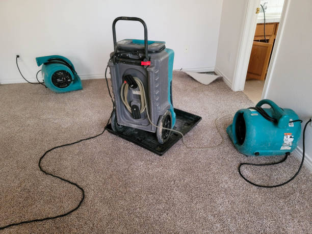 Best Water damage restoration near me  in Monticello, GA