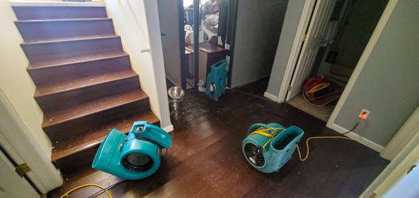 Best Sewage cleanup and water damage restoration  in Monticello, GA