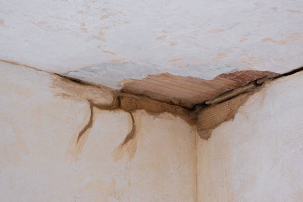 Best Commercial water damage restoration  in Monticello, GA