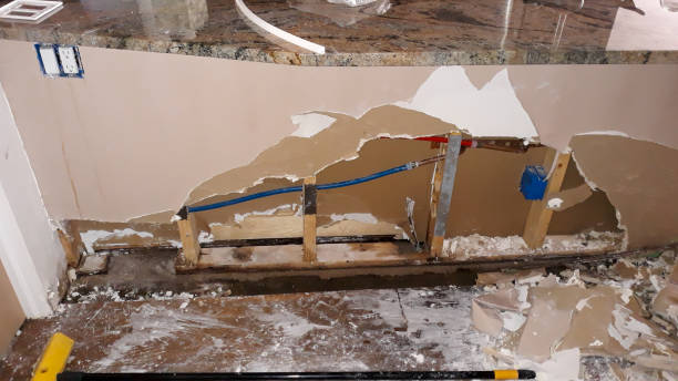 Best Flood damage cleanup  in Monticello, GA