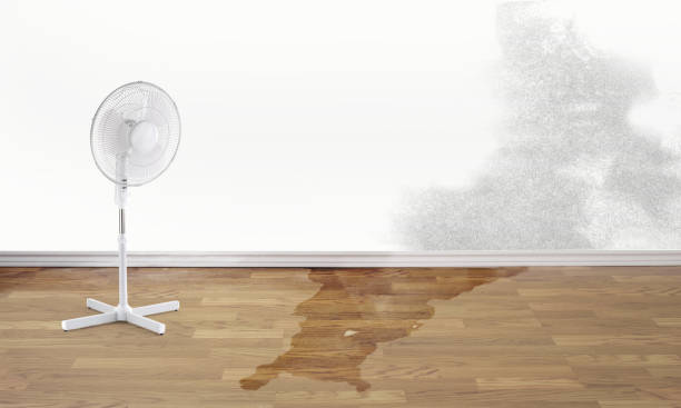 Best Residential water damage restoration  in Monticello, GA