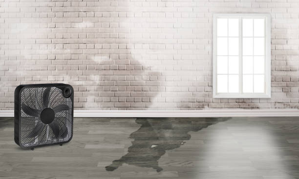Carpet water damage restoration in GA