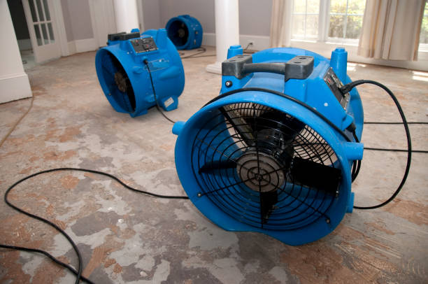 Best Carpet water damage restoration  in Monticello, GA