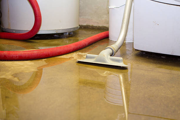 Best Professional water damage repair  in Monticello, GA