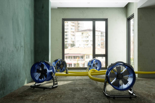 Best Sewage cleanup and water damage restoration  in Monticello, GA